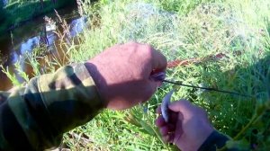 ловлю живца по своему