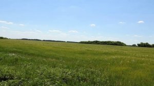 Тайна 4 древних курганов в Черноземье