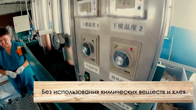 Производство одноразовой деревянной посуды от «ЭКО-Вуд»