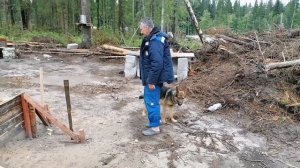 Проснулись от того, что кто то воет..