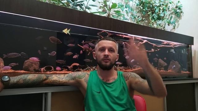 будущее население\соскучился по травнику\нужен ли осмос\татуировки... смотреть онлайн