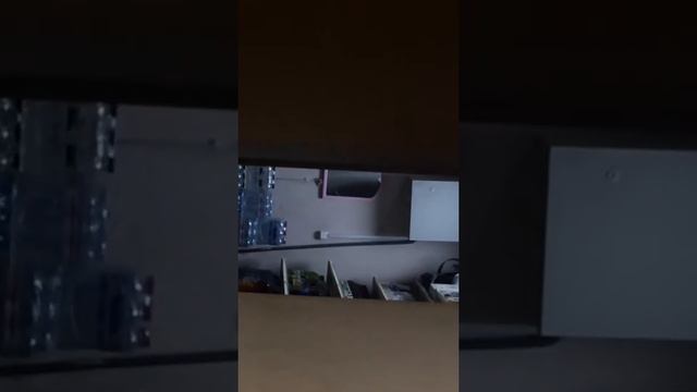 ШОК!!! Мертвая собака в кладовке одного из столичных ларьков!!! смотреть онлайн