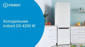 Холодильник Indesit DS 4200 W - обзор модели