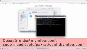 Установка Vinteo Desktop на ОС "ОСнова"