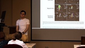 Эхокардиография. Занятие 13: Оценка регургитаций, часть 1: общие положения