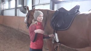 Как садиться на лошадь