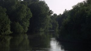 Ловля Леща и Воблы на Волге-Купил дом на Волге в Астраханской области