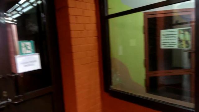 Немец офигевает в России - E361 - Екатеринбург - день 13 - видео 14 - зоопарк - птички смотреть онлайн