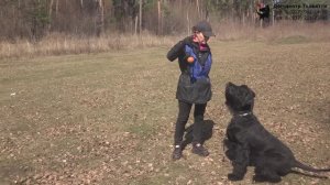 Команда Дог-центра Тольятти. Тренировка. Тольятти, 18 апреля 2021.