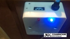 Обзор электростатической коптильни холодного копчения! Сделали специально для Элементарно и Вкусно!