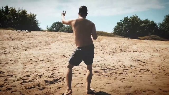 Чёрная пантера в чёрном панамера...??