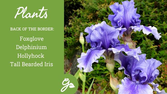 Cottage Garden Plants - 30 Plants with Romantic Charm смотреть онлайн