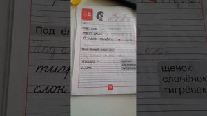 1 класс Письмо строчной и заглавной буквы "ё"