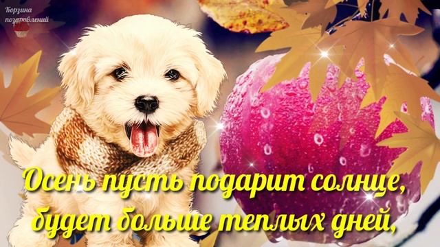 С Последним Днем Лета! Хорошего Дня и Отличного Настроения!Добрые Пожелания Для Вас.