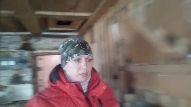 ТОПИМ ПЕЧЬ ВАРИМ КОРТОФАН ДЛЯ СВИНЕЙ смотреть онлайн