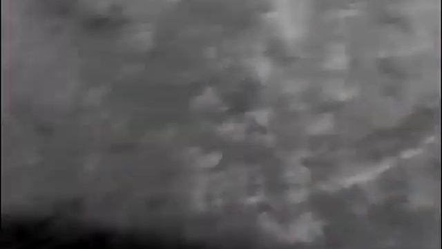 Медведь 40 метров. тепловизор Пульсар смотреть онлайн