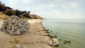На берегу Цимлянского водохранилища у пос. Саркел. Август 2020 г.mp4