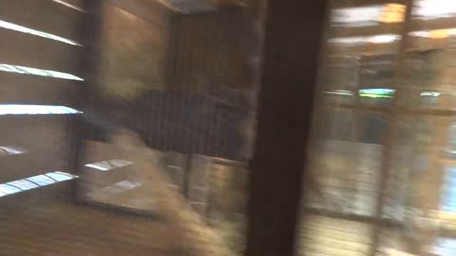 контактный зоопарк 6 смотреть онлайн