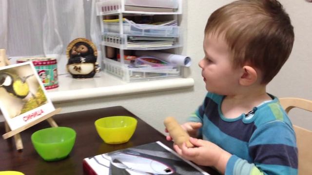 Даня и синичка