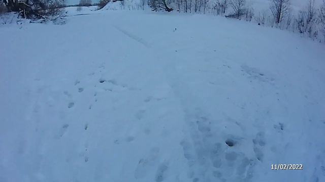 РЫБАЛКА НА ЖЕРЛИЦЫ В ГЛУХОЗИМЬЕ смотреть онлайн