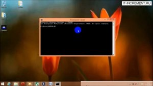 Командная строка в Windows 8  Работа с командной строкой в Windows 8