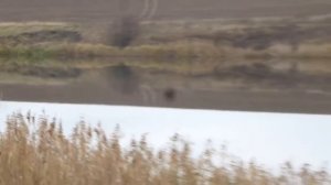 Рыбалка Осень Белгородская обл. Кустовое 05.11.17