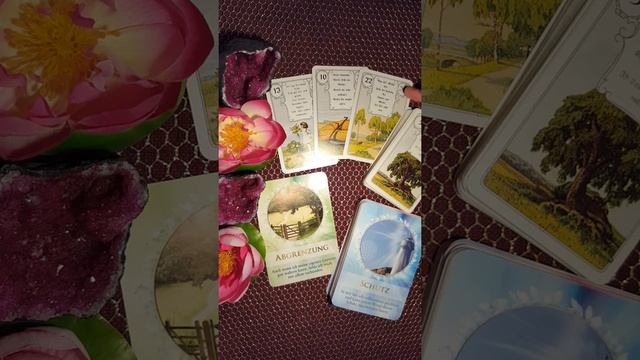 Карта дня на 14 января 2022 года. смотреть онлайн