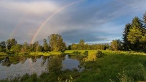 Летние грозы. ВИДЕОТЕКСТ. Прослушай текст