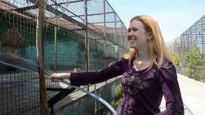 МЕДВЕДЬ ФИМА  ВЫШЕЛ В ВОЛЬЕР ПОСЛЕ  ОПЕРАЦИИ ! Тайган .Крым.