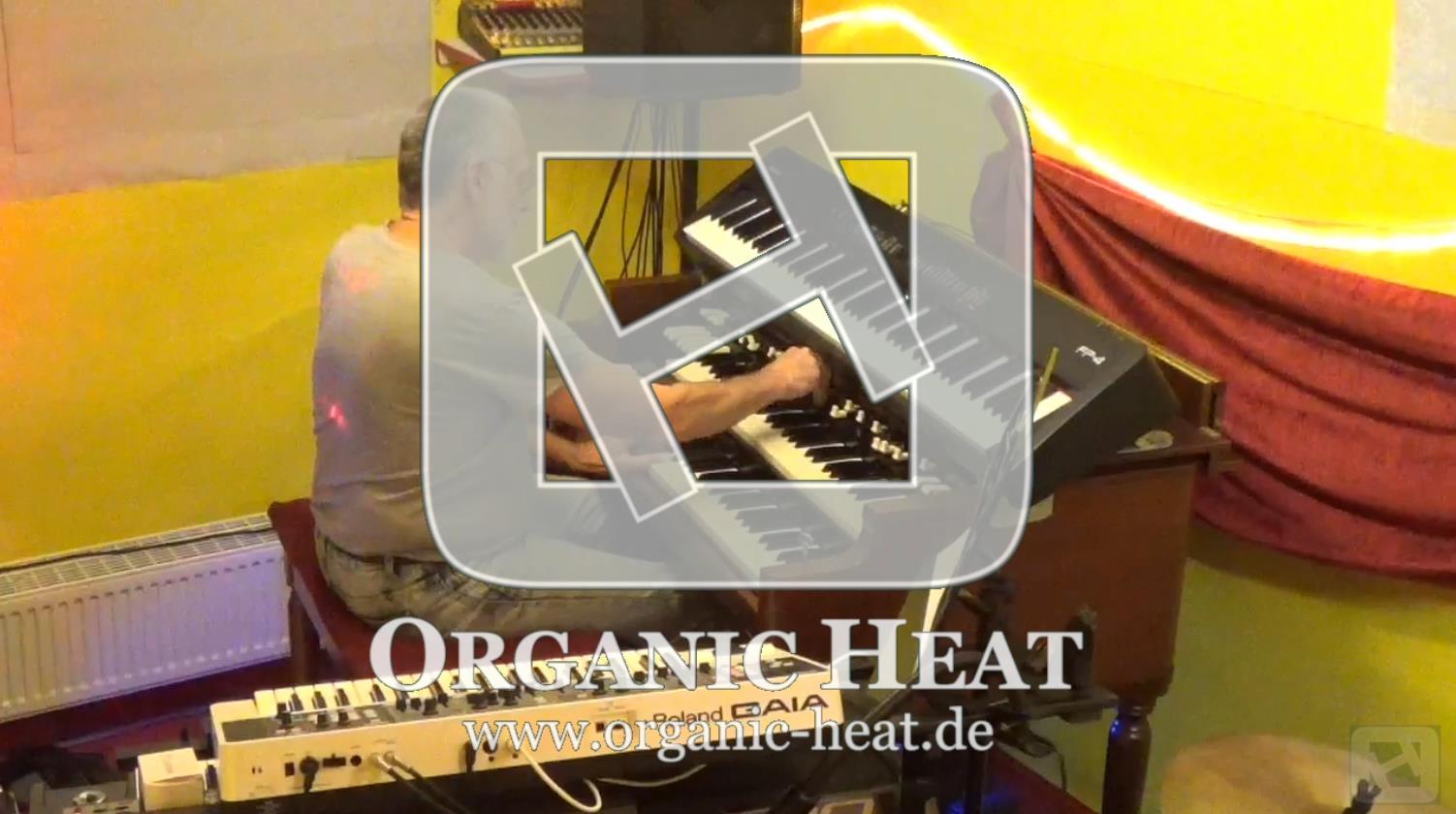 ORGANIC-HEAT - Querschnitt Probe 2.08.2020