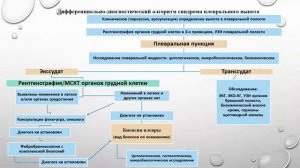 Туберкулезные плевриты: разбор клинических случаев