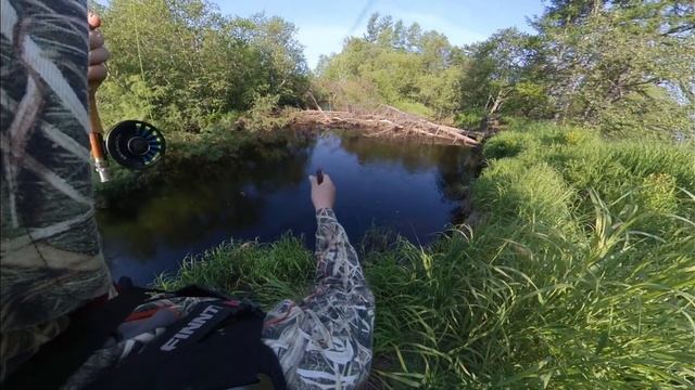 Рыбалка на севере Сахалина с нахлыстом смотреть онлайн