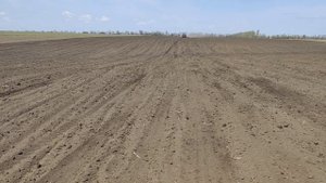 Посев подсолнуха 25.04.2020, сеялкой УПС-8,тракторт МТЗ-82 на спарках ???