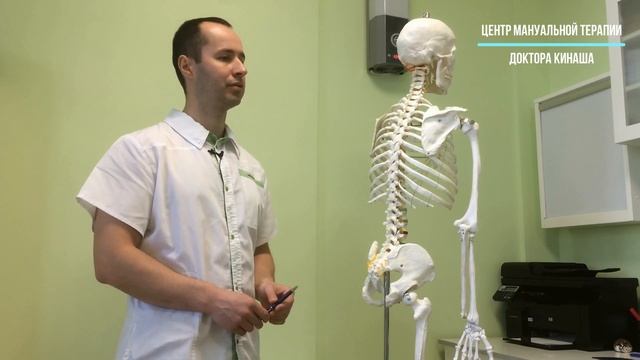 Как работает остеопат