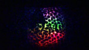 Подушка для детей - отличная подушка для сна и для ночника.