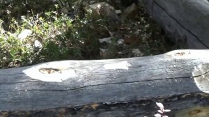 ДЕРЕВЯННЫЙ СТОЛ ДЛЯ ТАЕЖНОГО ЛАГЕРЯ, надежный стол своими руками.mp4