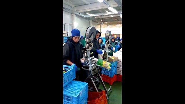 Упаковка тушек птицы Автоматизация производства Оборудование Poly-clip