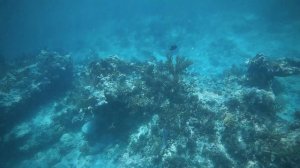 Куба.варадеро.экскурсия.остров Cayo Blanco