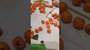 Рябиновые бусы.