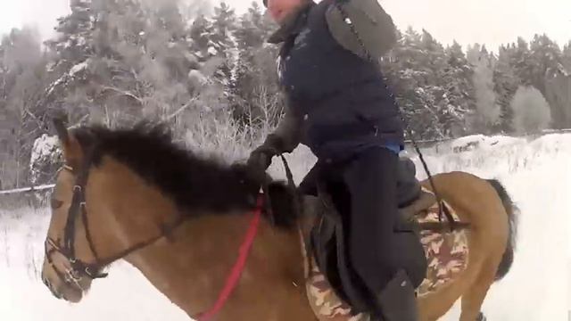 Верховая езда.m4v смотреть онлайн