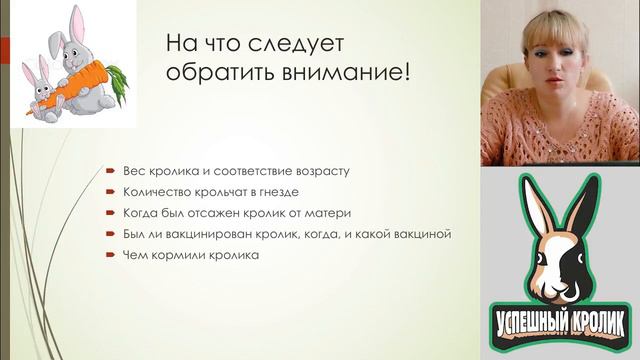Курсы кролиководства часть 1 смотреть онлайн