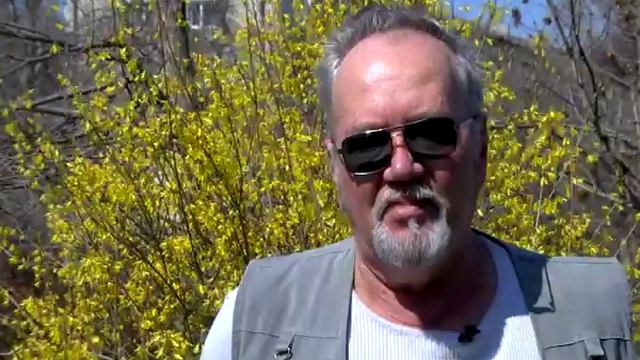 Максимова дача. Взгляд сквозь время... смотреть онлайн