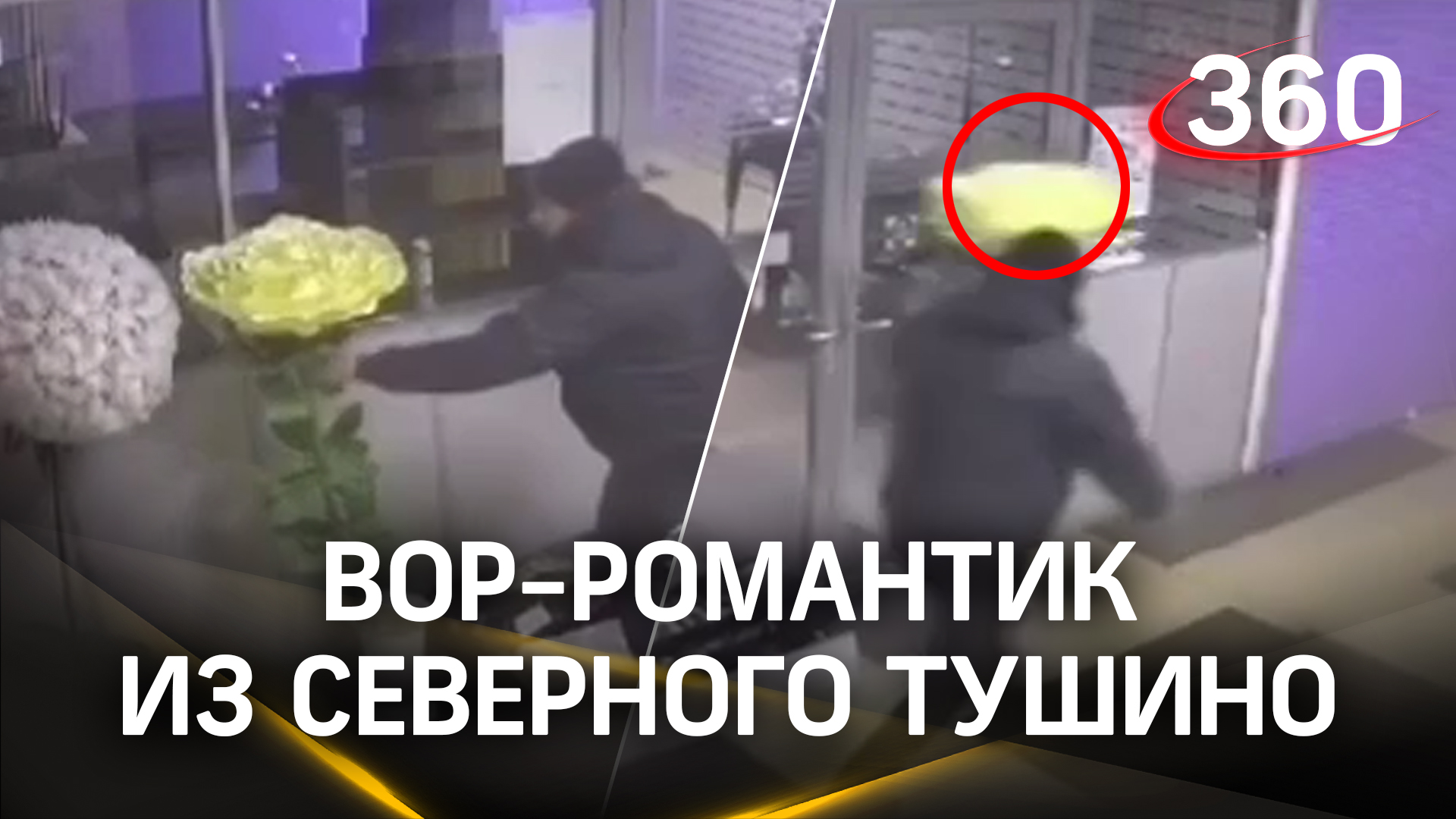 цифровое фото и видео презентация. видео это какая информация. виды сценариев. формат видео картинка. виды информации.