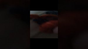Эйдора  в сочи