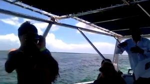 Граница слияния Карибского и Саргассова морей (Атлантического океана)