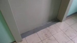 Лифты Ecomaks-(ЩЛЗ) 2018 г. V=1,6 м/с, Q=400-630 кг (1870), музыкал пассажирский