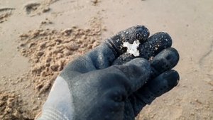 ПОИСК ЗОЛОТА и СЕРЕБРА на ПЛЯЖЕ с МЕТАЛЛОИСКАТЕЛЕМ Xp Deus. Пляжный коп в Крыму