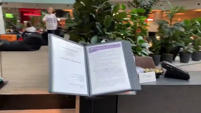 Бизнес-залы Priority pass. Fountain lounge во Внуково смотреть онлайн