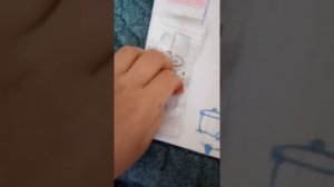 обзор на бумажный домик про тока бока?