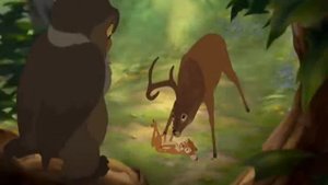 Bambi~The Healing of a Heart~Bambi 2